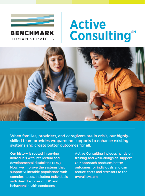 Active Consulting brochure. Click to download PDF.